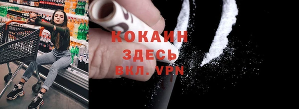 крисы Алексин