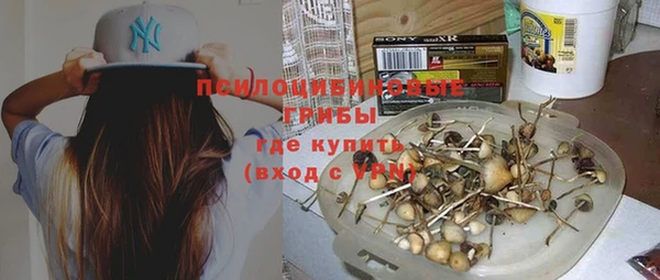 крисы Алексин