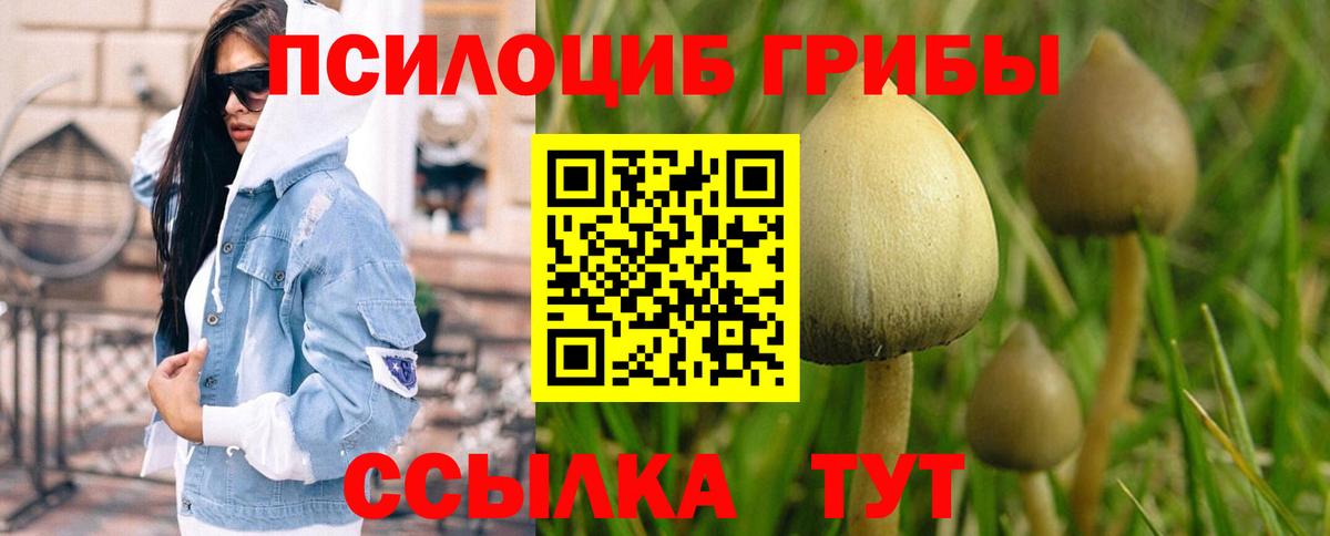 Псилоцибиновые грибы GOLDEN TEACHER  Галлюциногенные грибы ЛСД  Вход с VPN  Краснокамск 